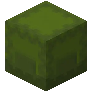 Hộp shulker xanh lá