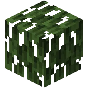 Lá đước