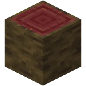 Gỗ đước
