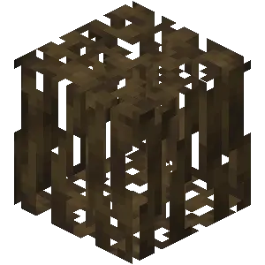 Rễ đước
