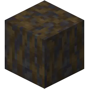 Rễ đước lầy