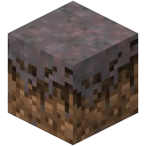 Mycelium