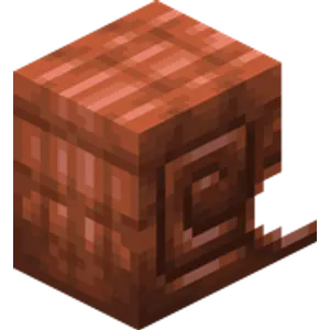 Giáp Nautilus đồng