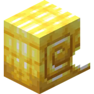 Giáp Nautilus vàng