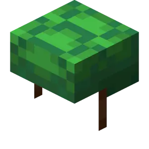 Mai rùa