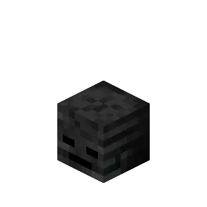 Đầu Wither Skeleton