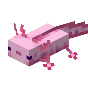 Axolotl