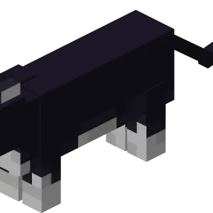 Mèo