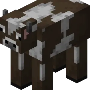Bò