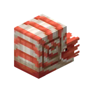 Nautilus