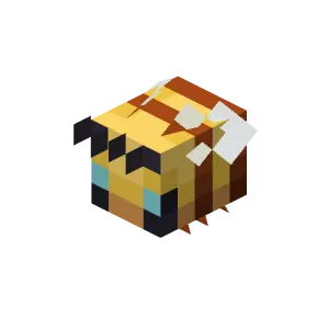 Ong