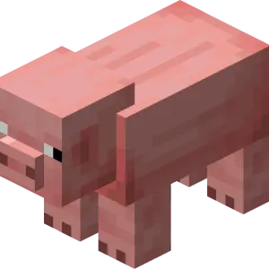 Heo
