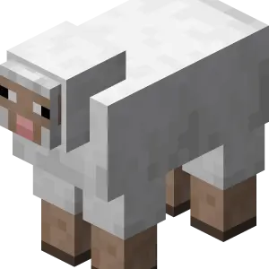 Cừu