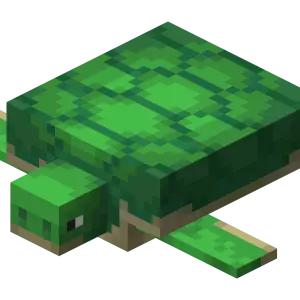 Rùa