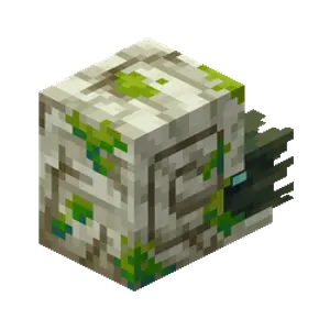 Nautilus zombie